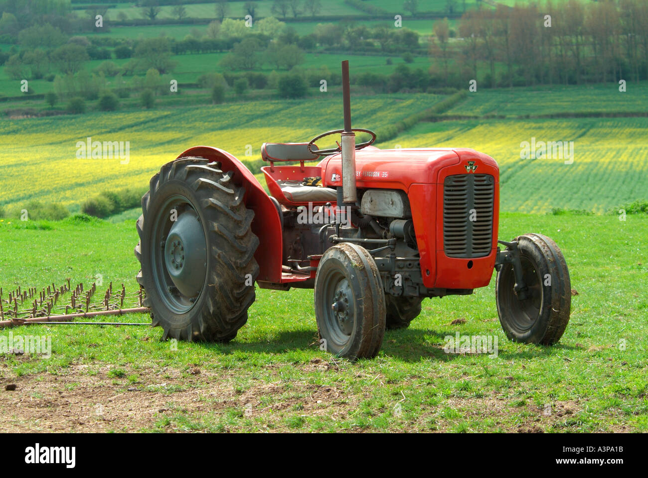 1959 rot Massey Ferguson FE35 Traktor verwendet heute für das Ziehen von Eggen und ein Rasen-Topper in einem paddock Stockfoto