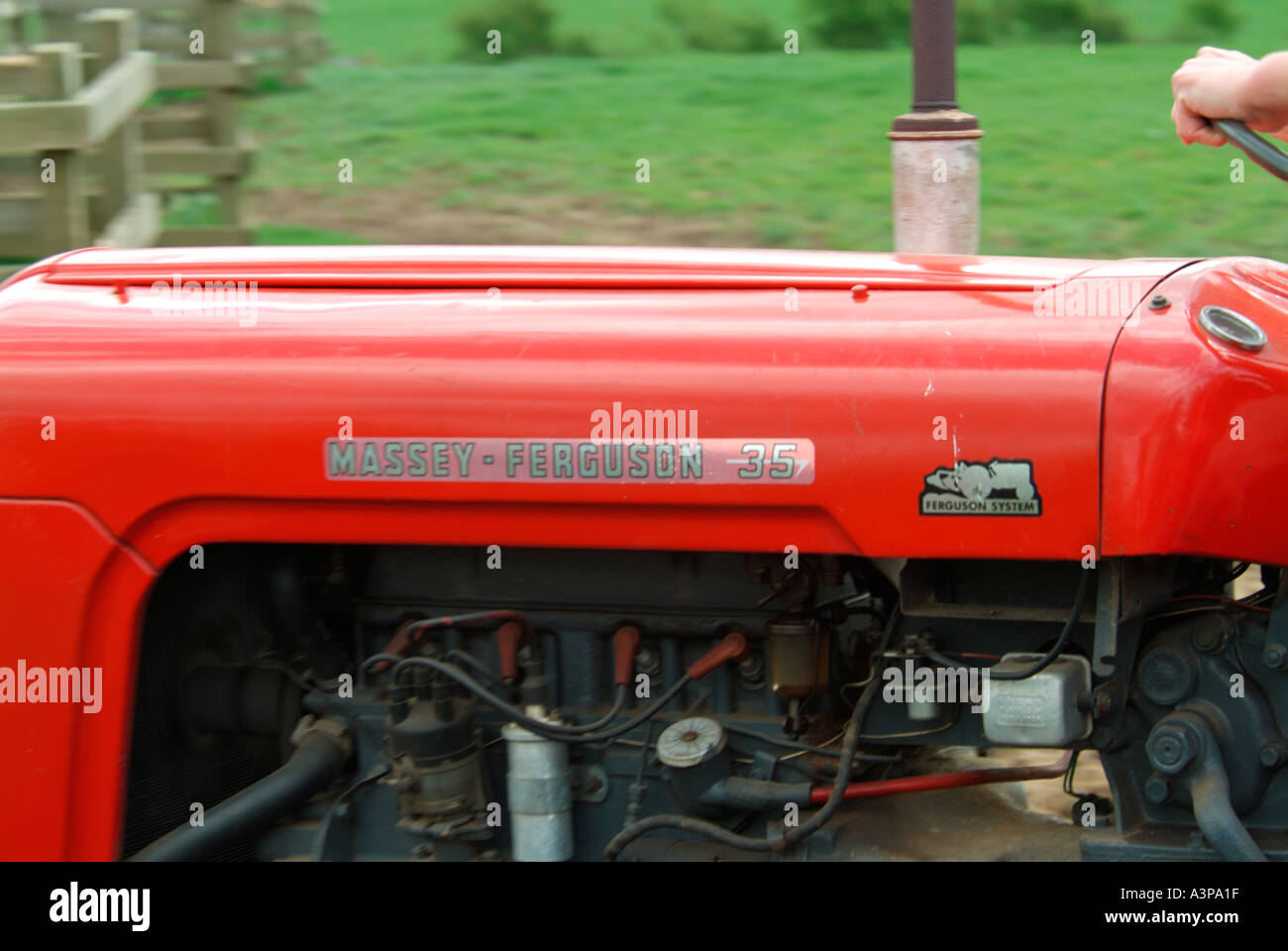 1959 rot Massey Ferguson FE35 Traktor verwendet heute für das Ziehen von Eggen und ein Rasen-Topper in einem paddock Stockfoto