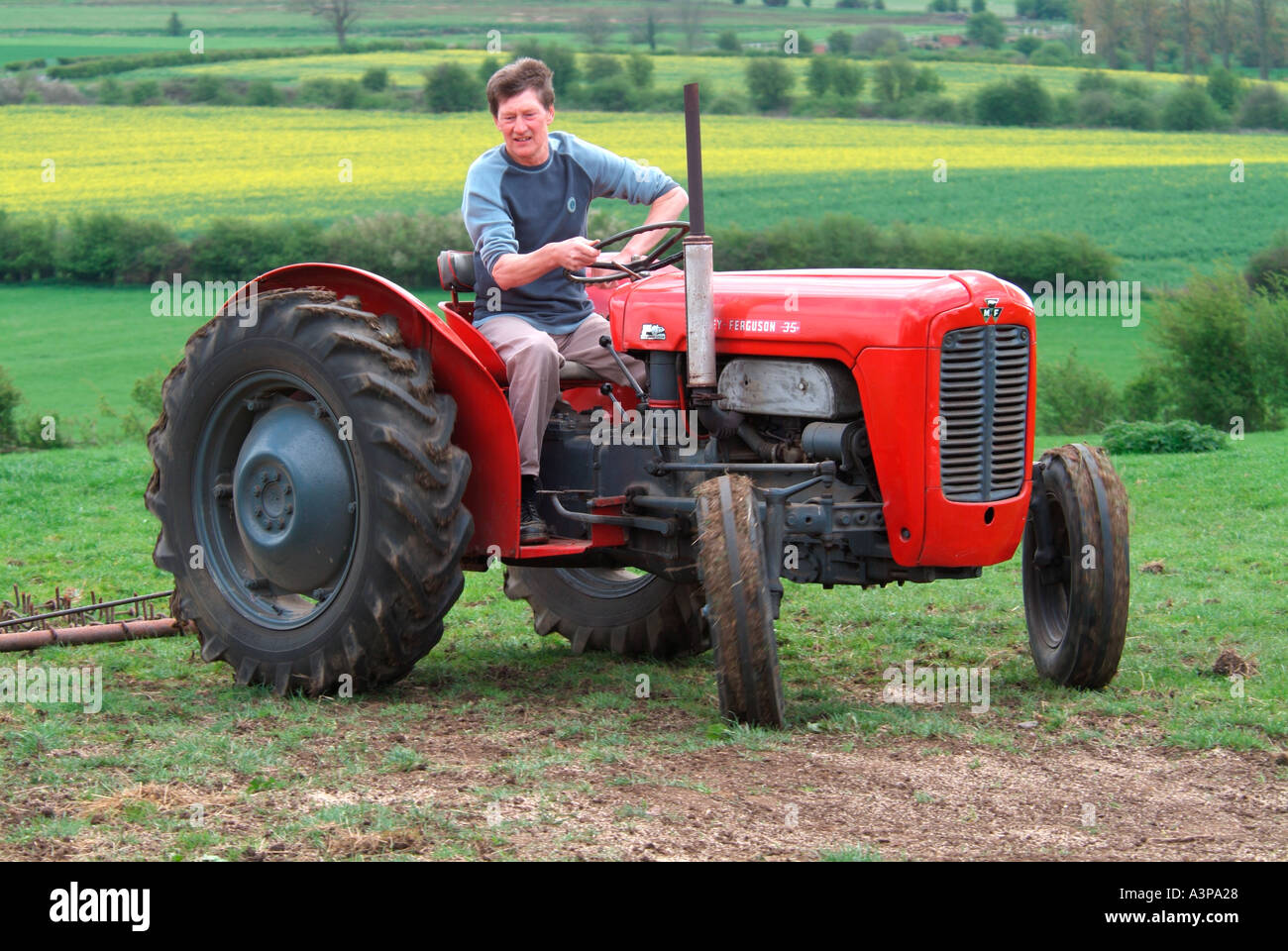1959 rot Massey Ferguson FE35 Traktor verwendet heute für das Ziehen von Eggen und ein Rasen-Topper in einem paddock Stockfoto