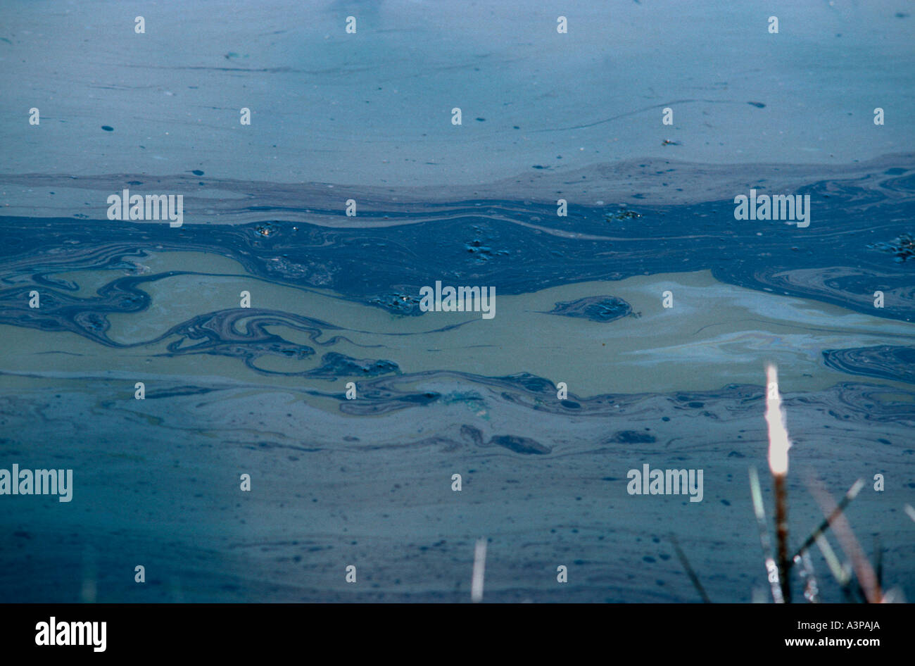 Öl auf der Wasseroberfläche Fawley Raffinerie - New Forest Hampshire - UK Stockfoto