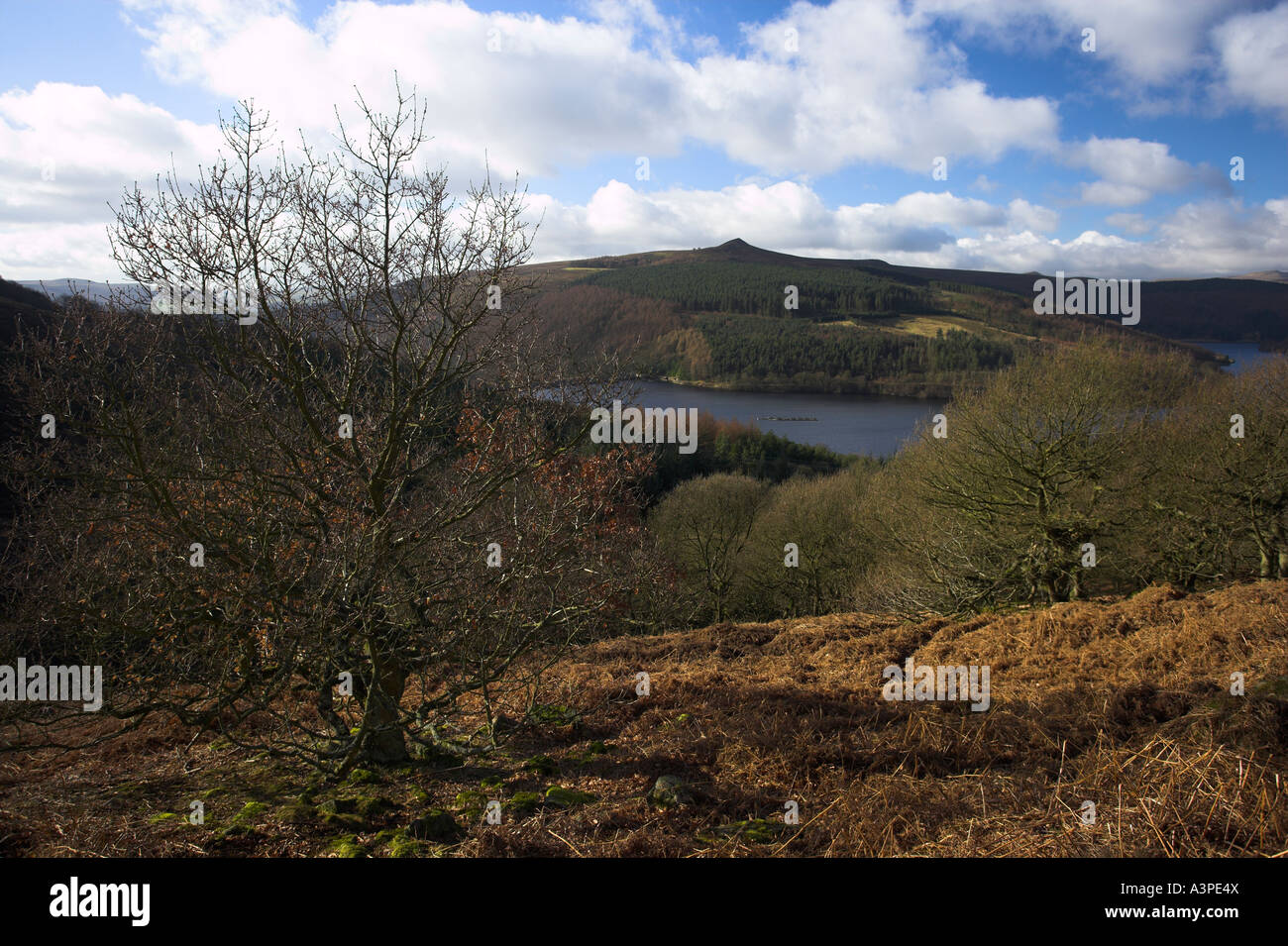 Ladybower Vorratsbehälter und Win Hill betrachtet von Bamford Moor im Peak District in Derbyshire England Stockfoto