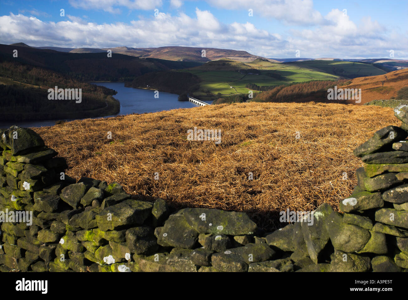 Ladybower Vorratsbehälter betrachtet von Bamford Moor im Peak District in Derbyshire Stockfoto