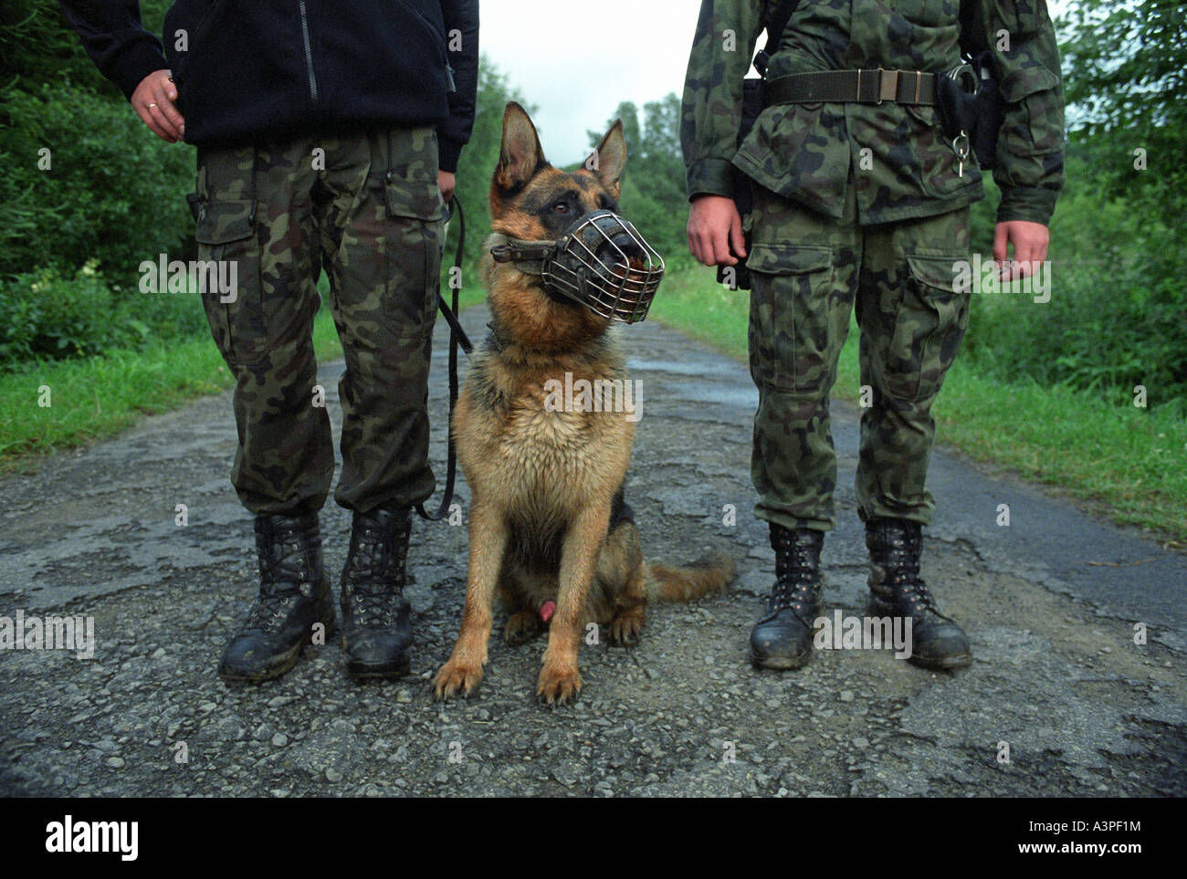 Border Guard Offiziere mit einem Hund, Radoszyce Gorne, Polen Stockfoto