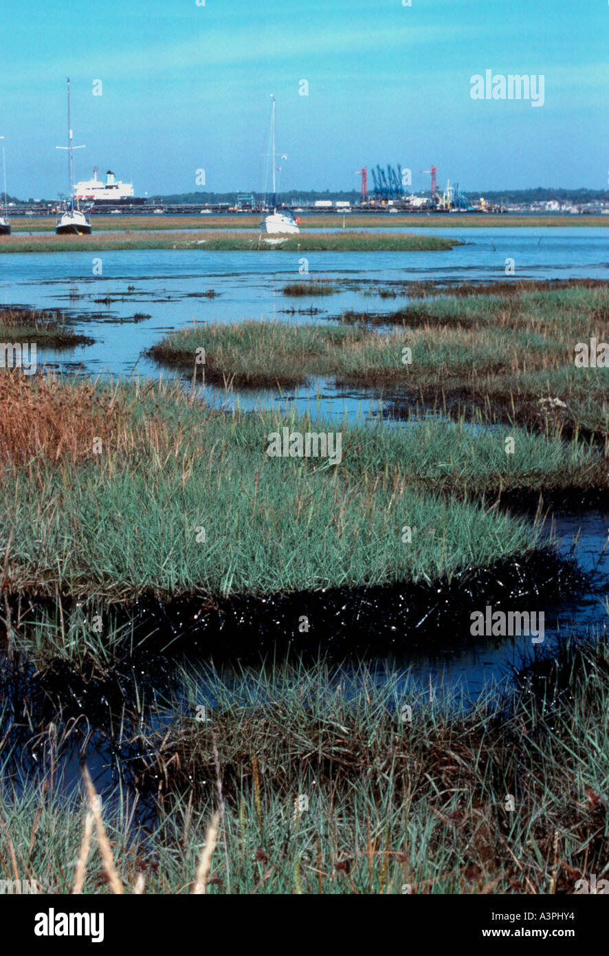 Verschmutzte Sümpfe nach Öl verschütten von Fawley Raffinerie - New Forest Hampshire - UK Stockfoto