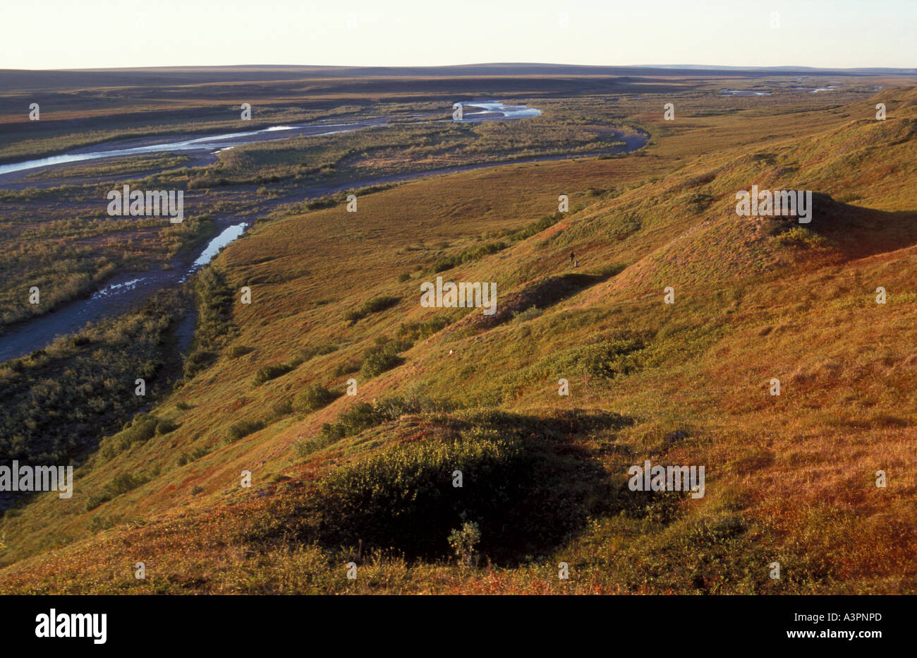 Killik-Fluss fließt durch arktische Tundra im Herbst National Petroleum zu bewahren Alaska Stockfoto