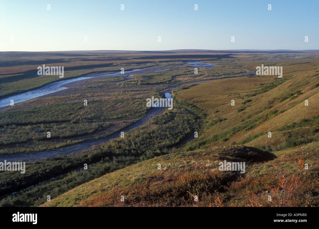 Killik-Fluss fließt durch arktische Tundra im Herbst National Petroleum zu bewahren Alaska Stockfoto