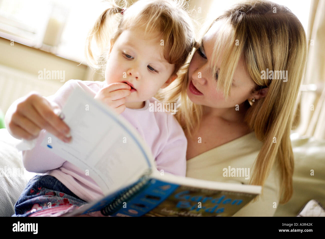 Mutter mit Tochter lesen Stockfoto