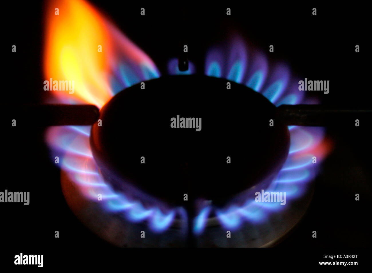 Gas-Kochfeld-Flamme Stockfoto