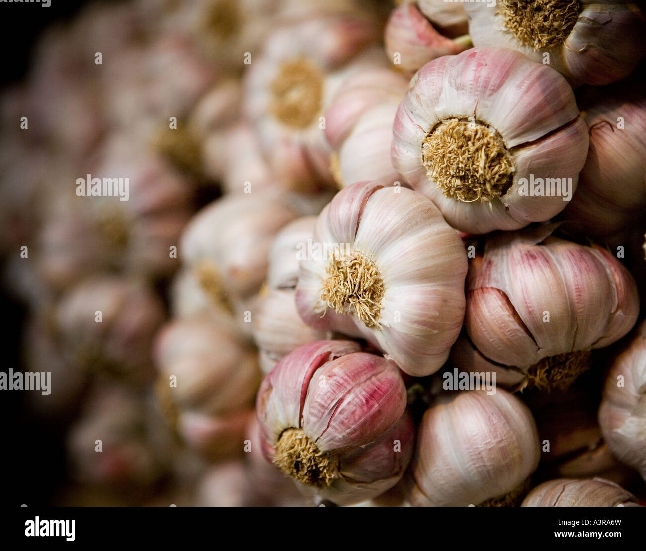 Knoblauch Zwiebeln auf Obst und Gemüse Stall in London Borough market Stockfoto