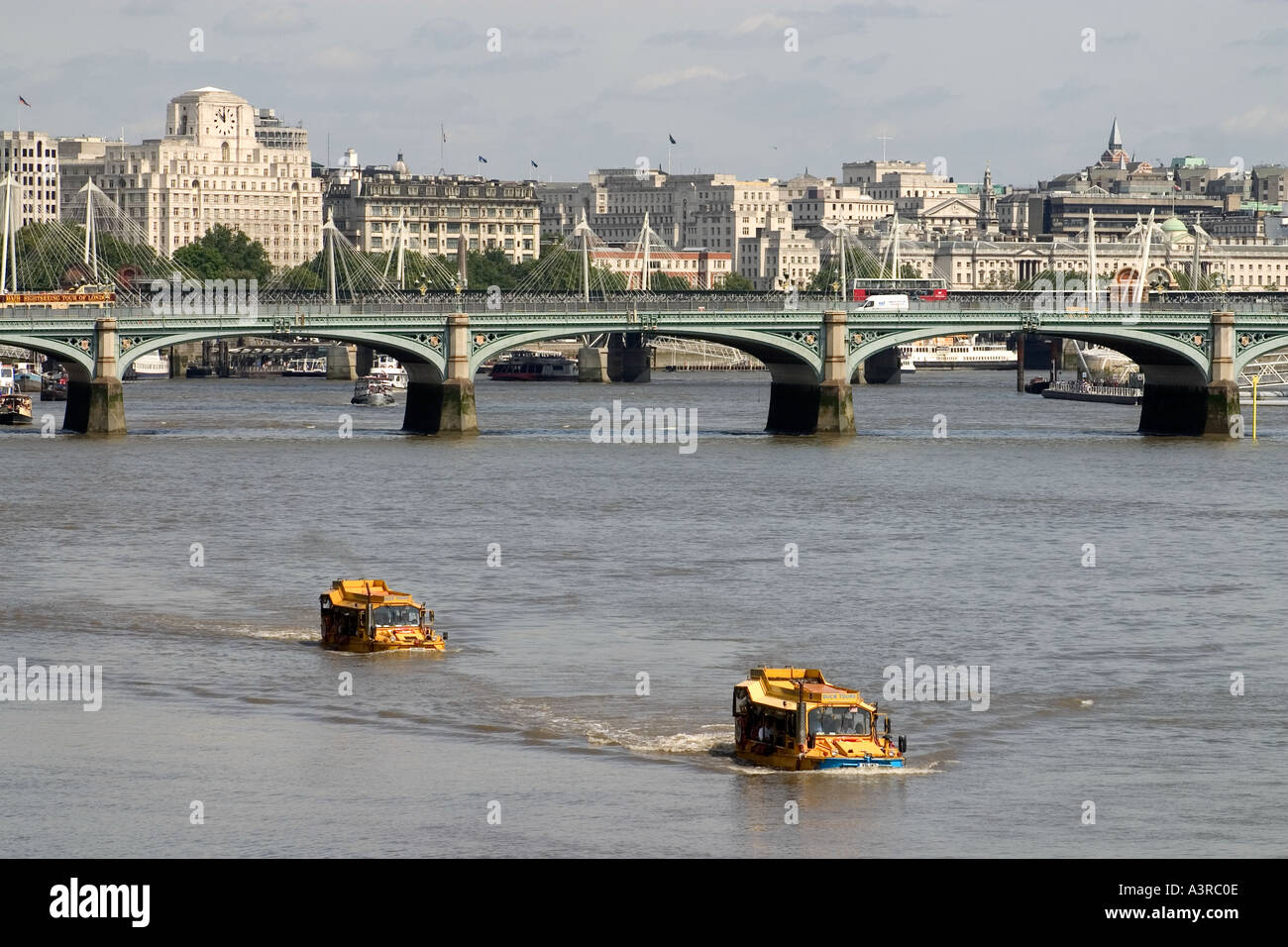 Frosch Tour Boote Fluß Themse London Stockfoto