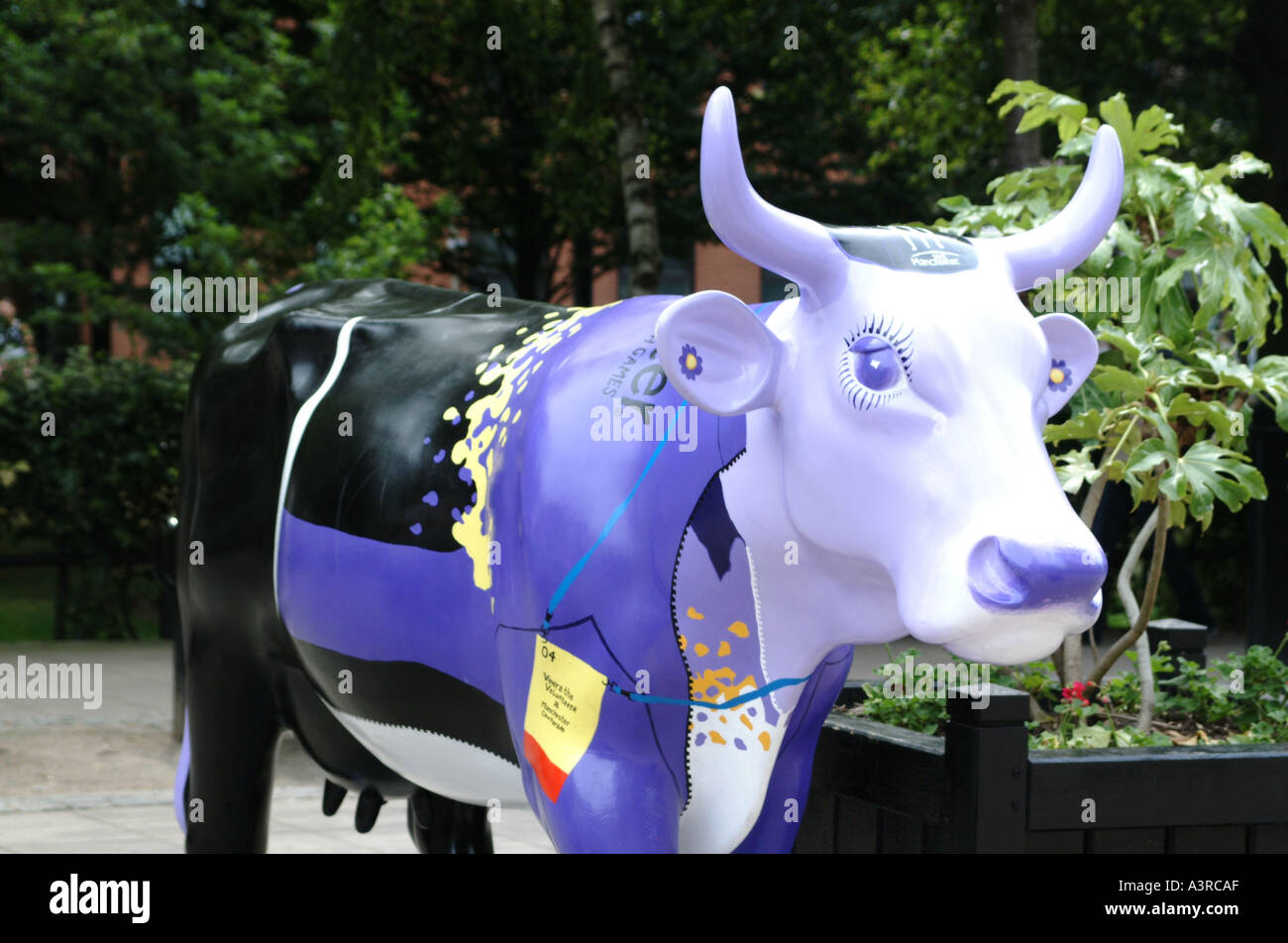 Cow Parade Manchester Stockfoto