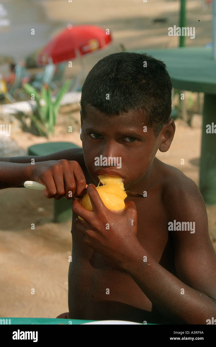 Junge schneiden und Essen Mango Calhetas Strand Pernambuco-Brasilien Stockfoto