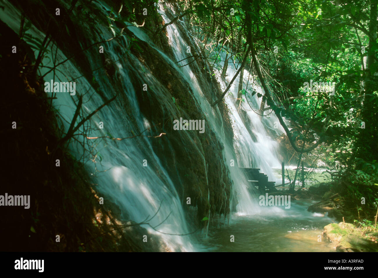 Wasserfall und die umliegenden tropischen Dschungels am Chapena River Bonito Mato Grosso do Sul Brasilien Stockfoto