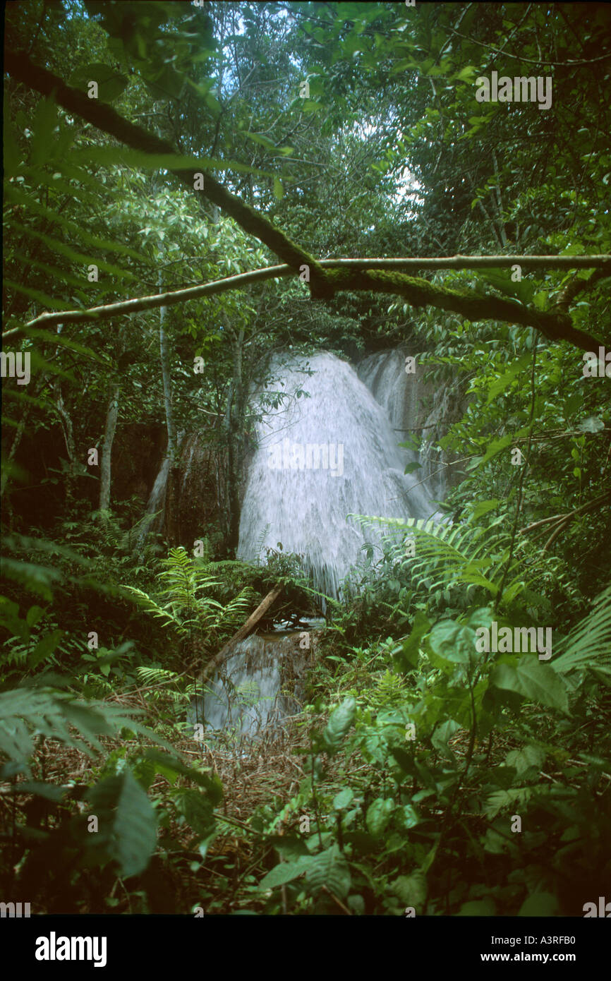Wasserfall und die umliegenden tropischen Dschungels am Chapena River Bonito Mato Grosso do Sul Brasilien Stockfoto