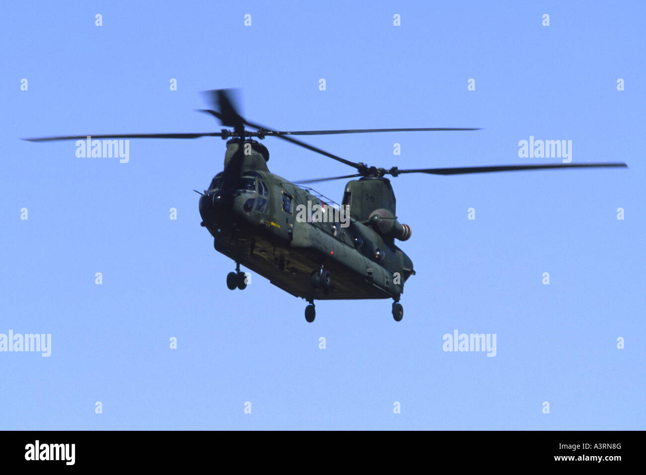 Boeing-Vertol CH-47 von 298 Squadron der Royal Netherlands Air Force betrieben Stockfoto