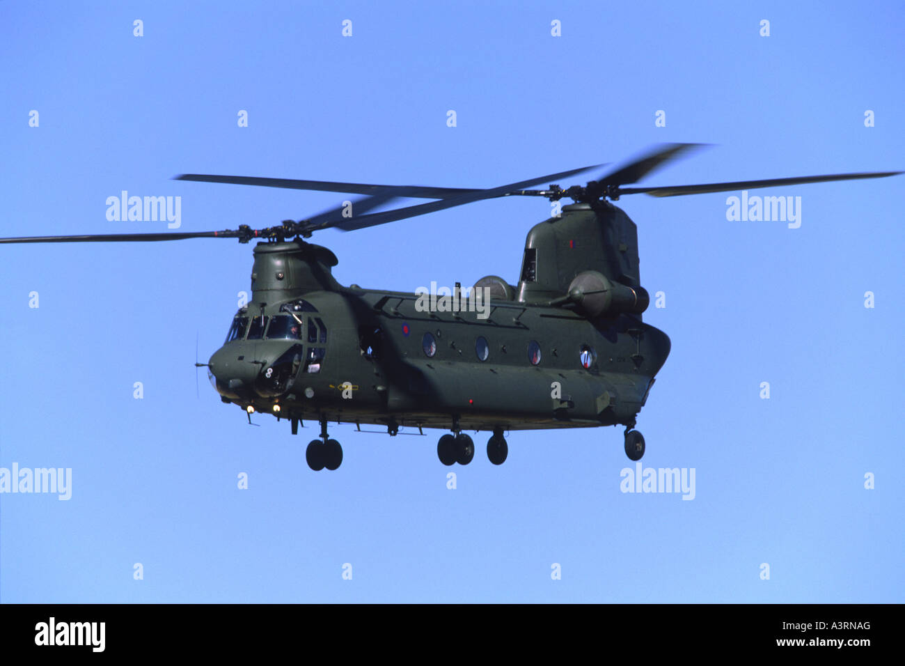Boeing Chinook HC1 betriebenen 18(B) Squadron des Joint Helicopter Command Stockfoto
