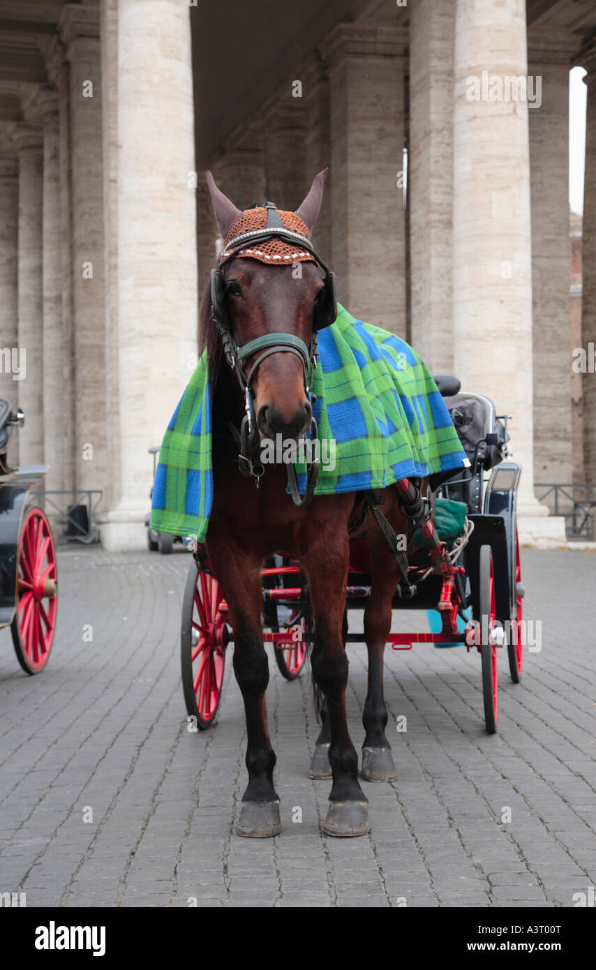 Horse-Drawn Wagen in Saint Peter s Quadrat Vatikanstadt Rom Italien Stockfoto