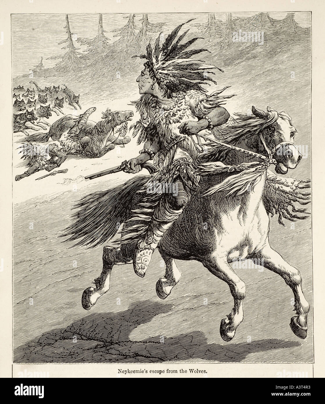 Neykeemies Flucht USA Amerika Indian chief Feder Kopfschmuck Pistole Pistole Pferd bareback Pack Wölfe jagen Galopp Gefahr wilde r Stockfoto