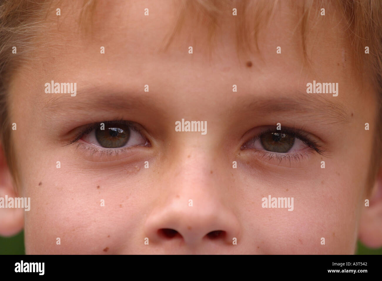 Das Gesicht eines jungen Mannes zeigt einen Inhalt Ausdruck Stockfoto