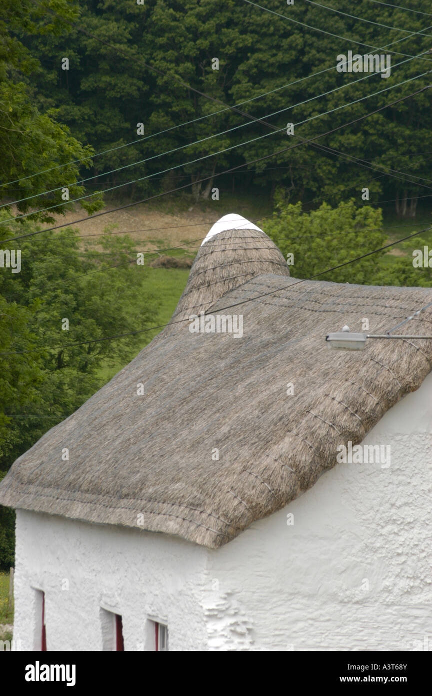 Troedrhiwfallen strohgedeckten Roofwelsh Hütte Cribyn Ceredigion, im Besitz von Greg Stevenson "unter Reet" Urlaubsbegleitung Wales U Stockfoto