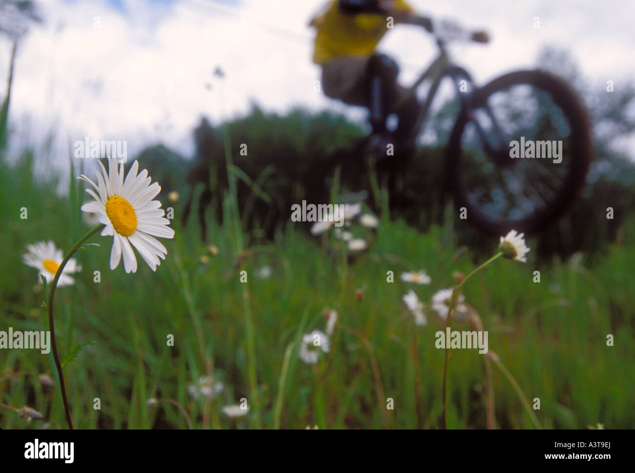 Mountainbiken, Marquette, Michigan, Upper Peninsula Stockfoto