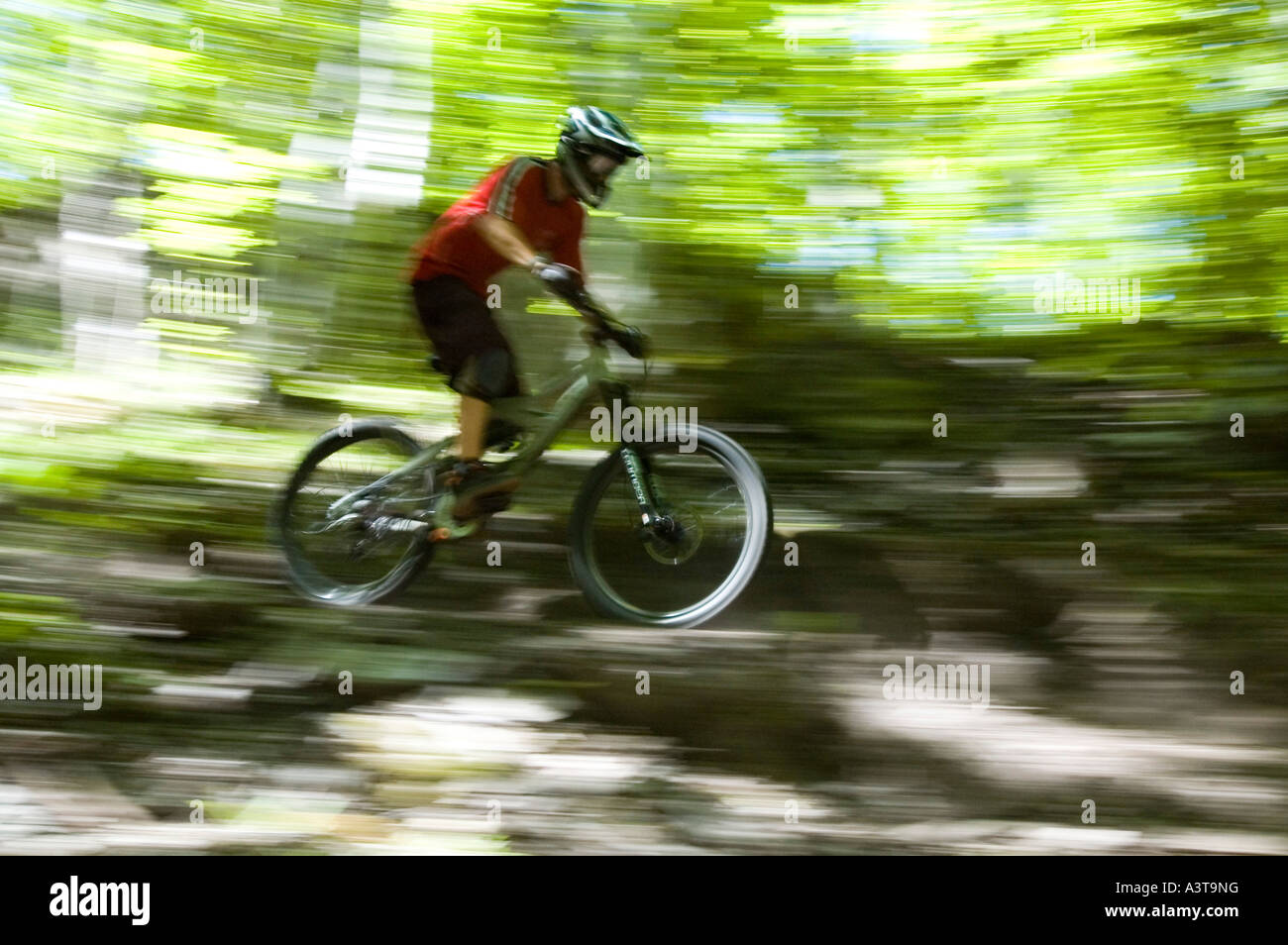 Ein Mountainbiker verwischt durch den Wald beim Freeriden in der Nähe von Marquette, Michigan Stockfoto