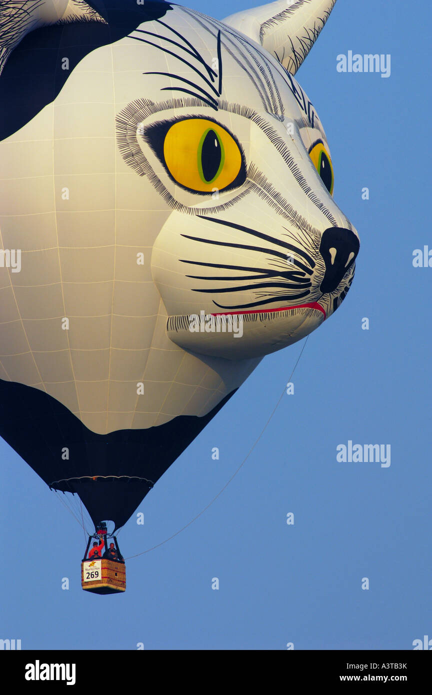 Heißluft-Ballon in Form einer Katze Stockfoto