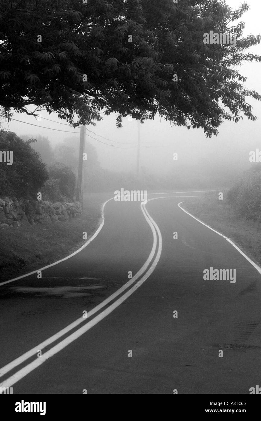 Kurve in der Straße in Nebel mit Landschaft block Island Rhode Island USA USA RI Stockfoto