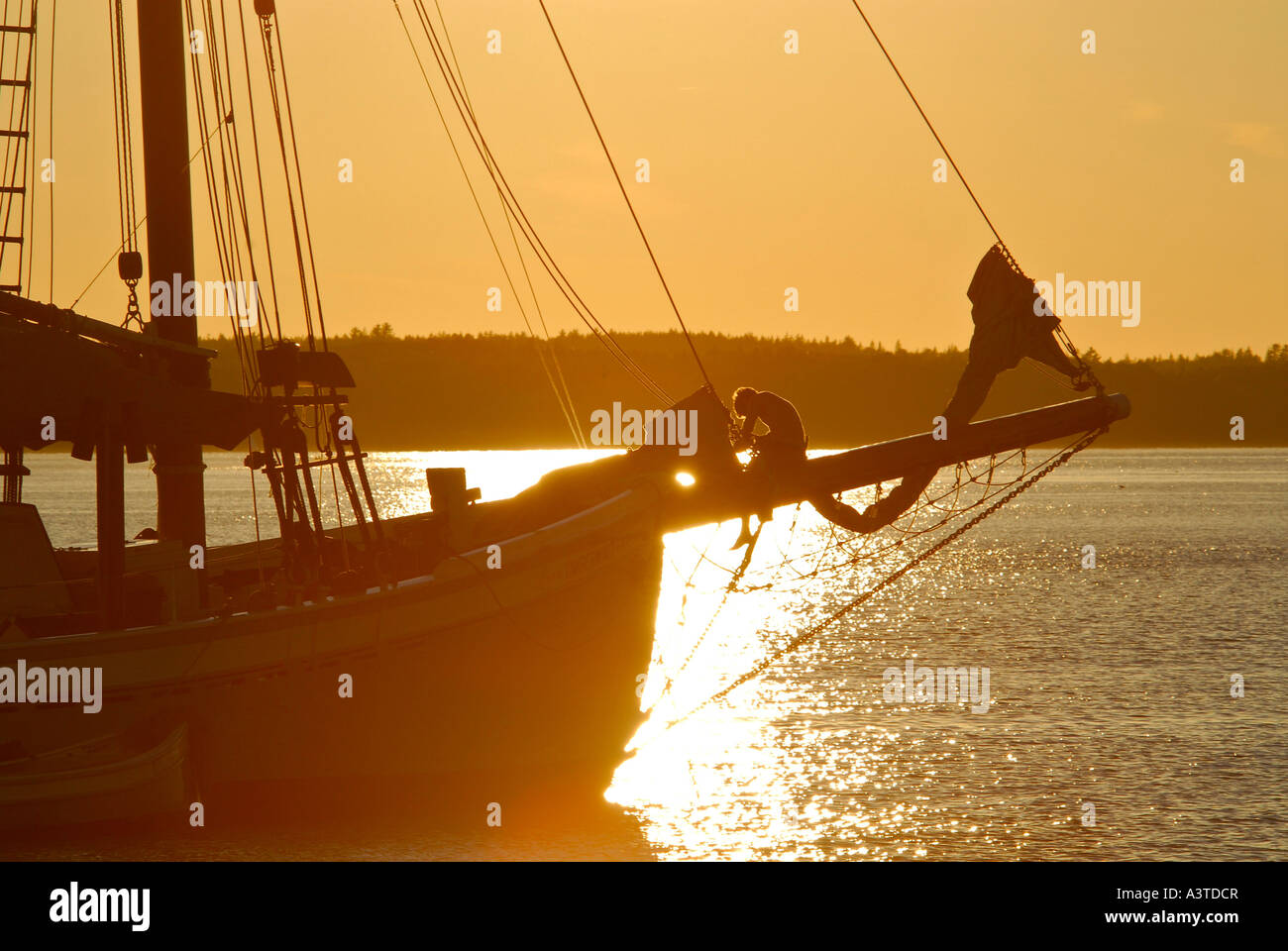 Die Maine Windjammer Association umfasst vierzehn traditionellen Großsegler bis Größe 46 bis 132 Fuß in der Länge die meisten hav Stockfoto