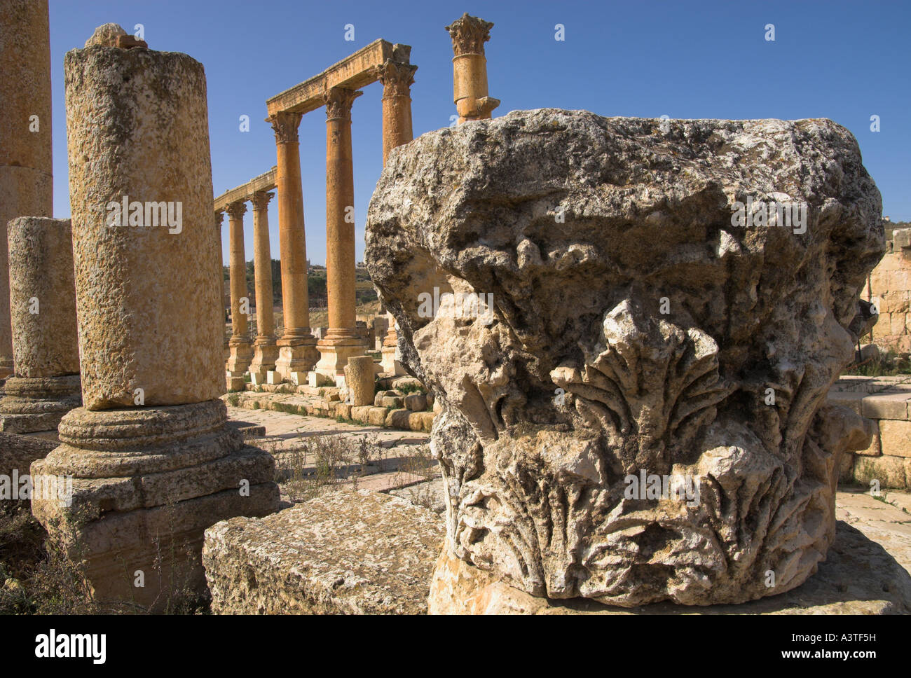 Jordan Jerash archäologische Stätte Cardo Maximus Nahaufnahme Spalte Kapital mit Spalten in bkgd Stockfoto