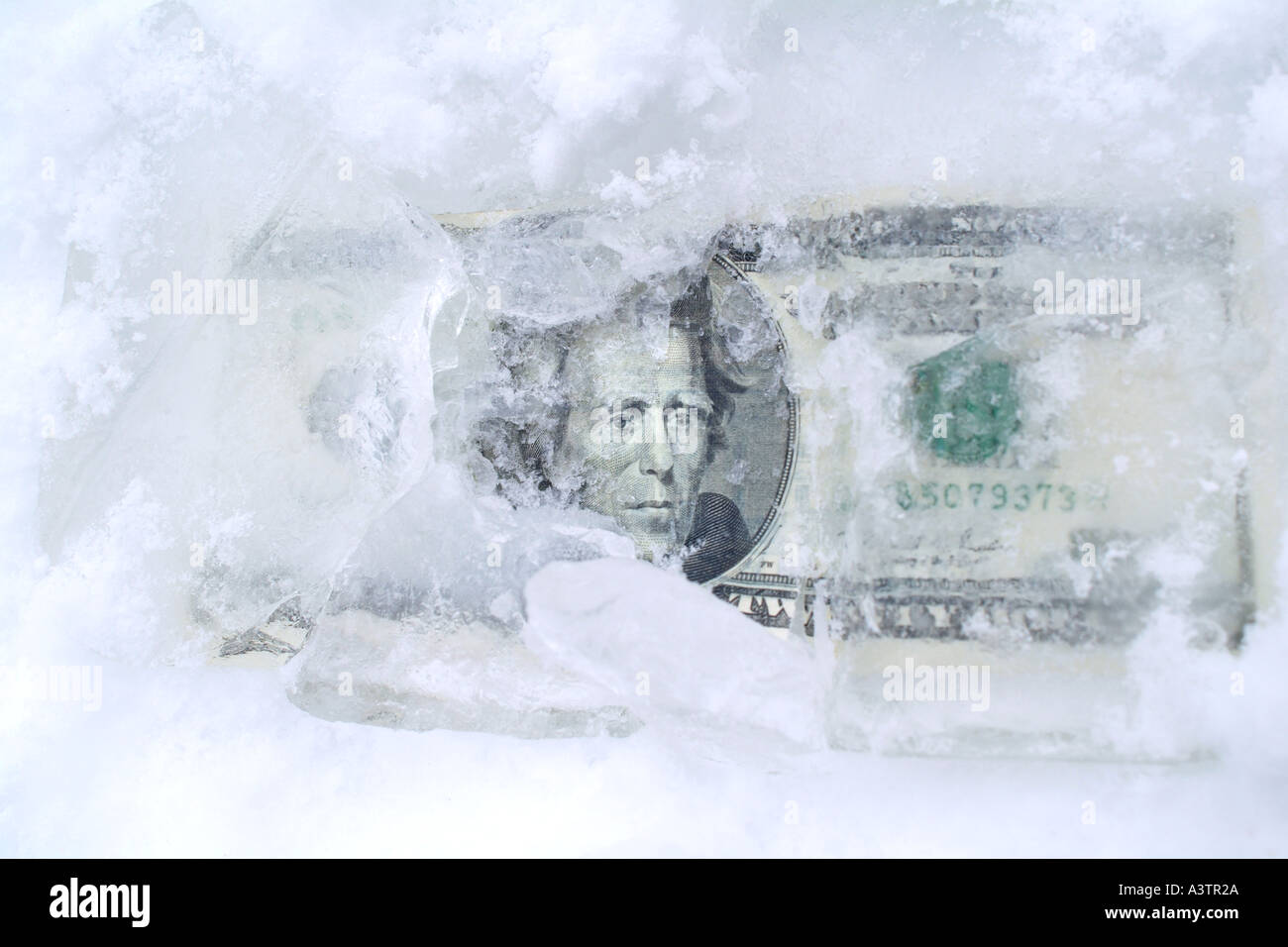 Zwanzig Dollar Bill US-Dollar im Eis eingefroren Vermögenswerte Stockfoto