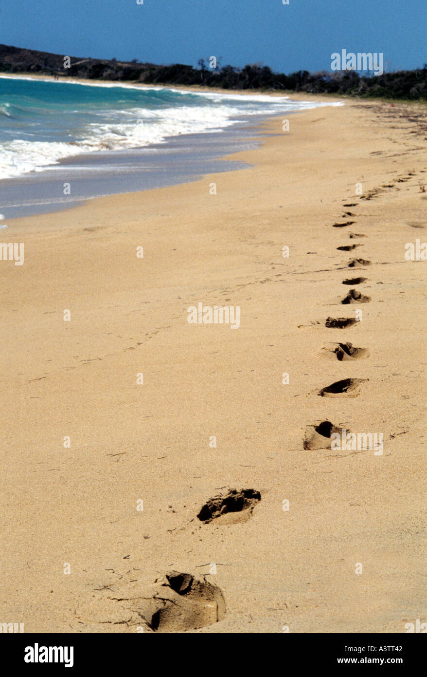 Fußabdrücke auf leeren Strand im Paradies Stockfoto