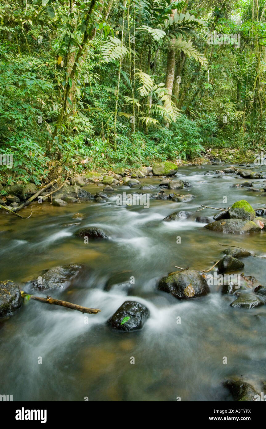 Panama, Darien National Park, Cana Bereich, Bächlein und Felsen in Darien Wildnis Stockfoto