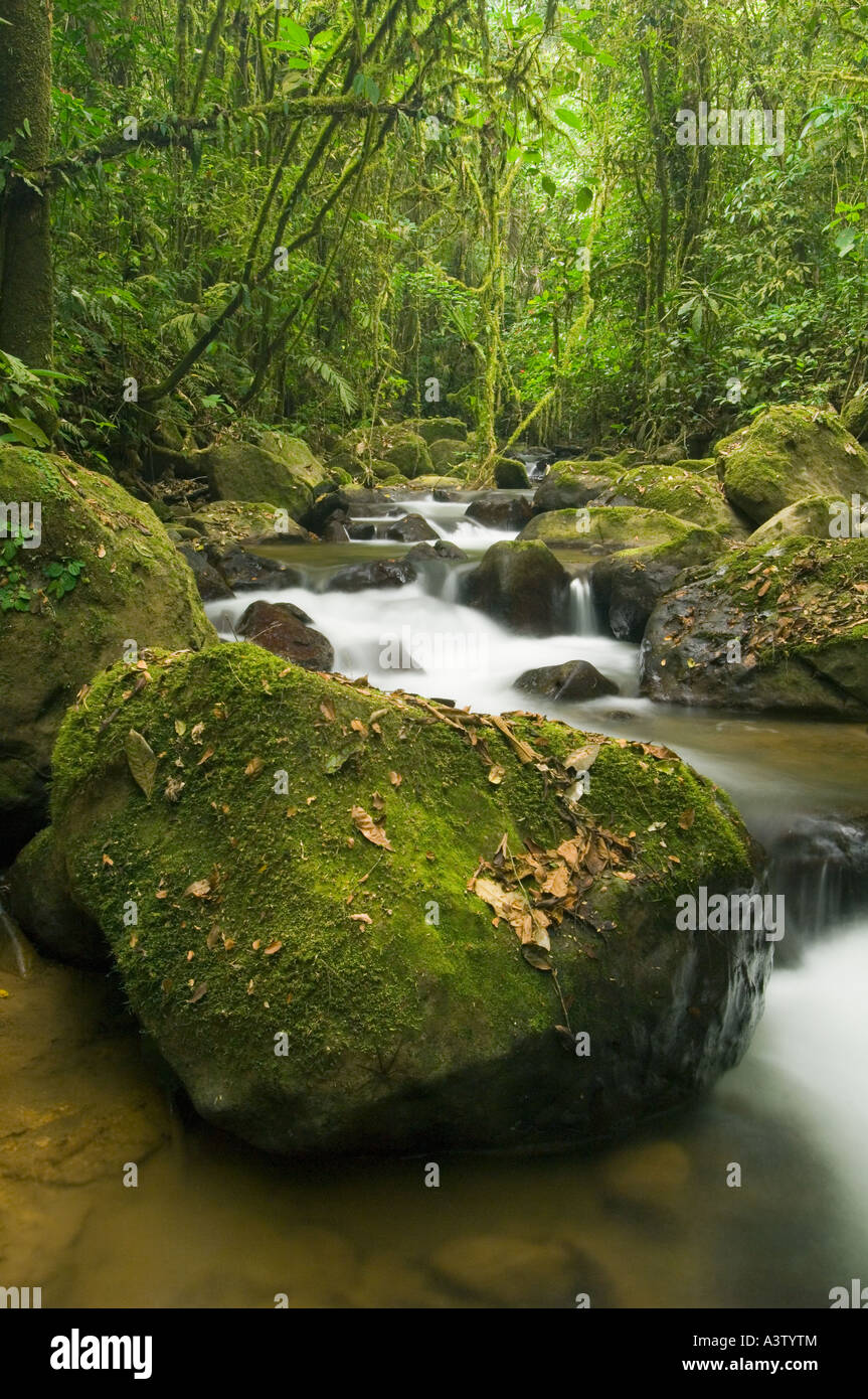 Panama, Darien National Park, Cana Bereich, Bächlein und Felsen in Darien Wildnis Stockfoto