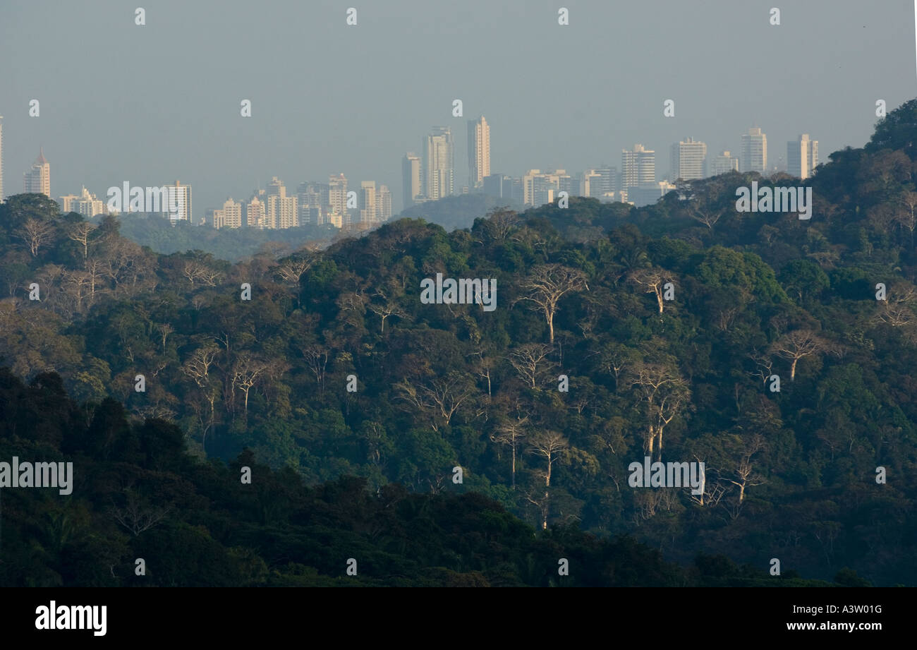 Panama, Panama-Stadt-Hochhäuser von Soberania Nationalpark Regenwald gesehen Stockfoto