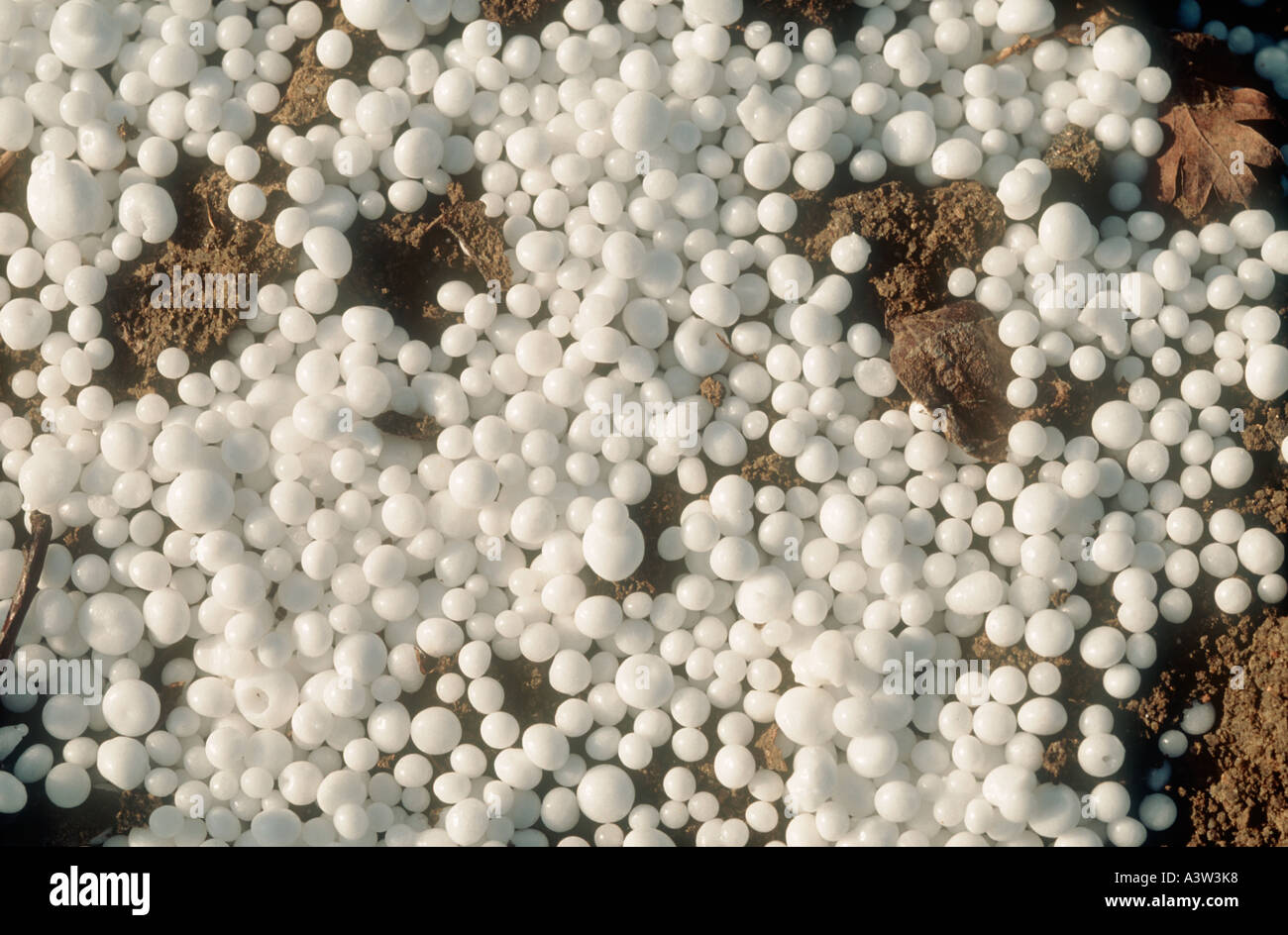 Anorganischen landwirtschaftlichen Dnger Granulat Stickstoff oder NPK  Stockfotografie - Alamy