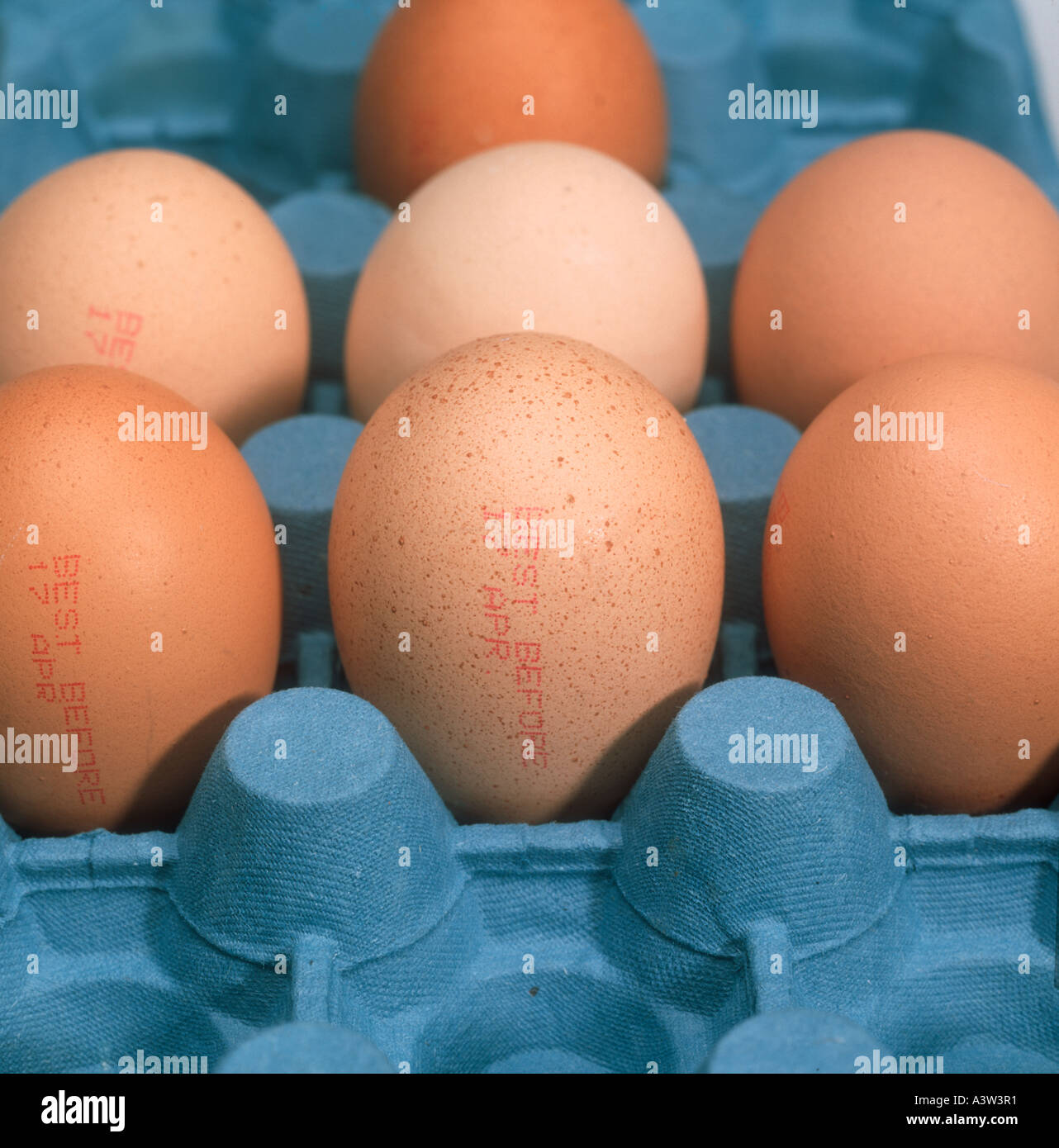 Eiern in einen Eierkarton zeigt am besten vor dem Datum Stockfoto