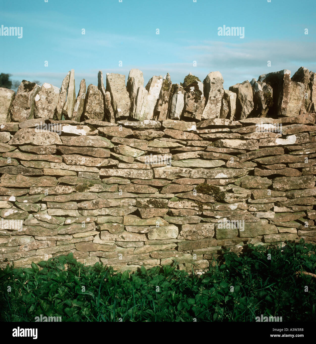 Ordentlich Cotswold Steinmauer mit horizontalen wichtigsten Steinen und vertikale Begrenzung Steinen Stockfoto