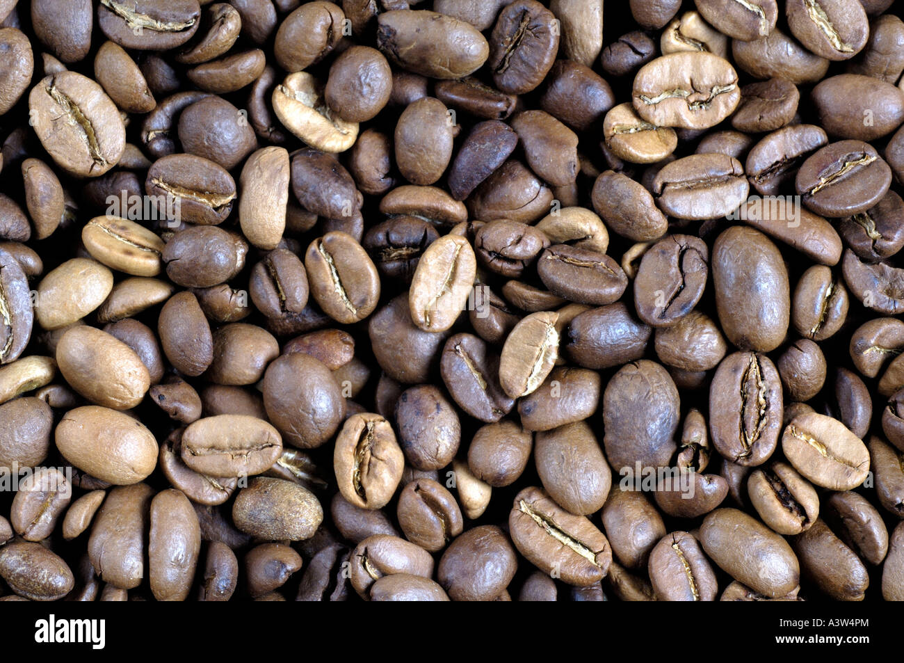 Kaffeebohne Stockfoto