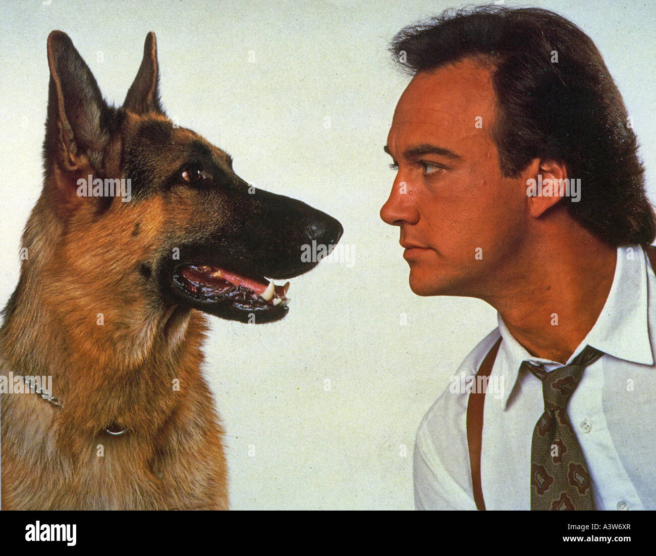 K-9 1988 UIP Film mit James Belushi Stockfoto