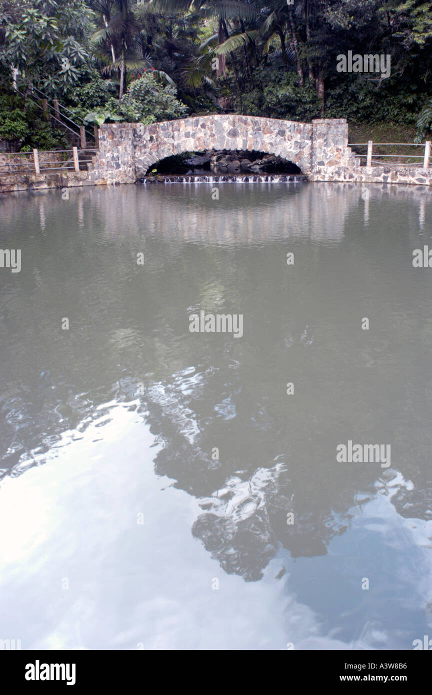 El Yunque National Forest Stockfoto
