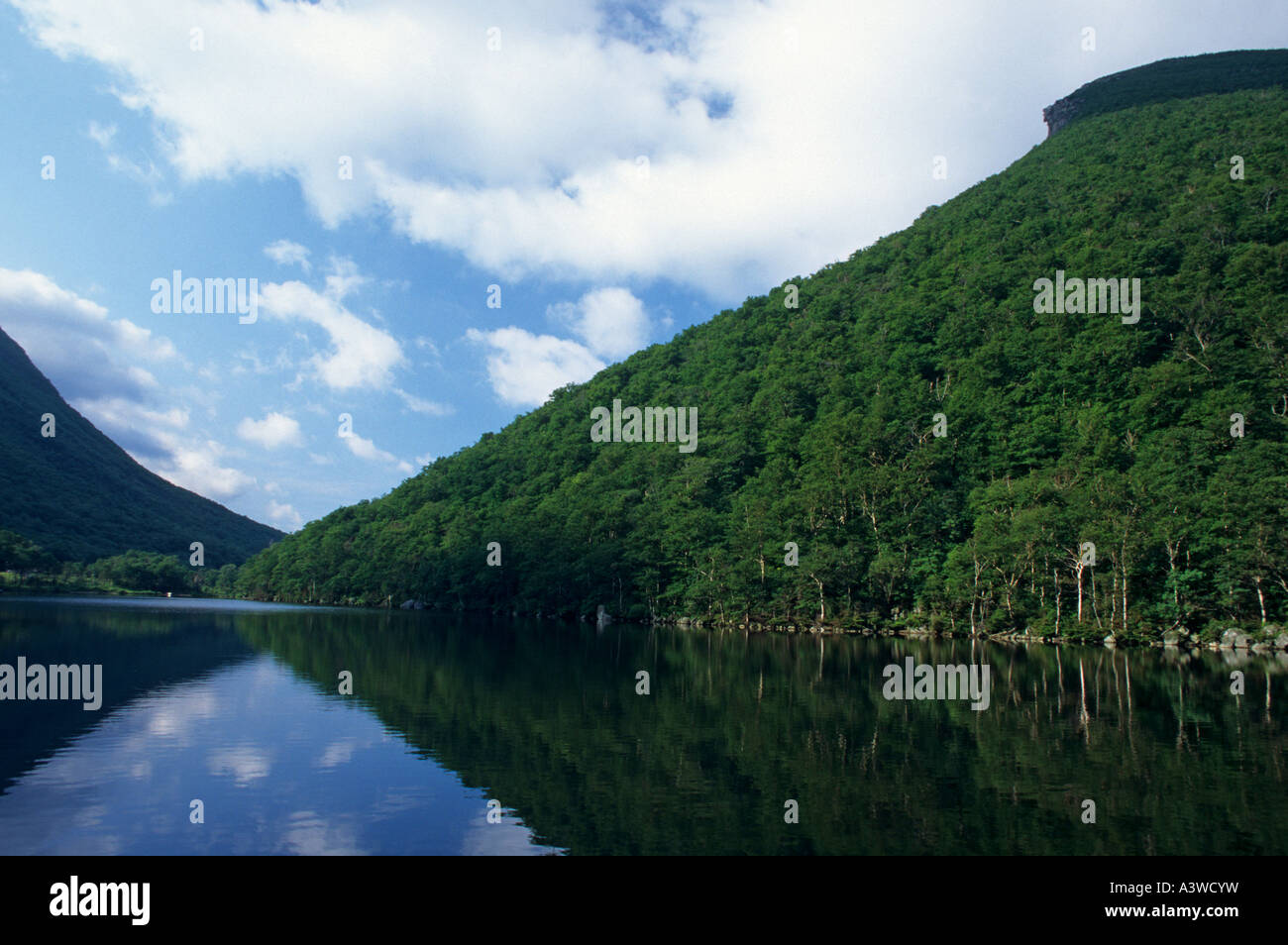 PROFIL-SEE UNTERHALB DER ALTE MANN DES BERGES FRANCONIA NOTCH STATE PARK, NEW HAMPSHIRE. SOMMER. JULI. Stockfoto