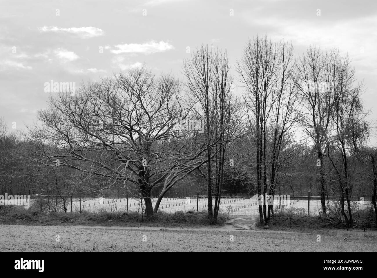 New England Farm bedeckt in leichter Schneefall im winter Stockfoto