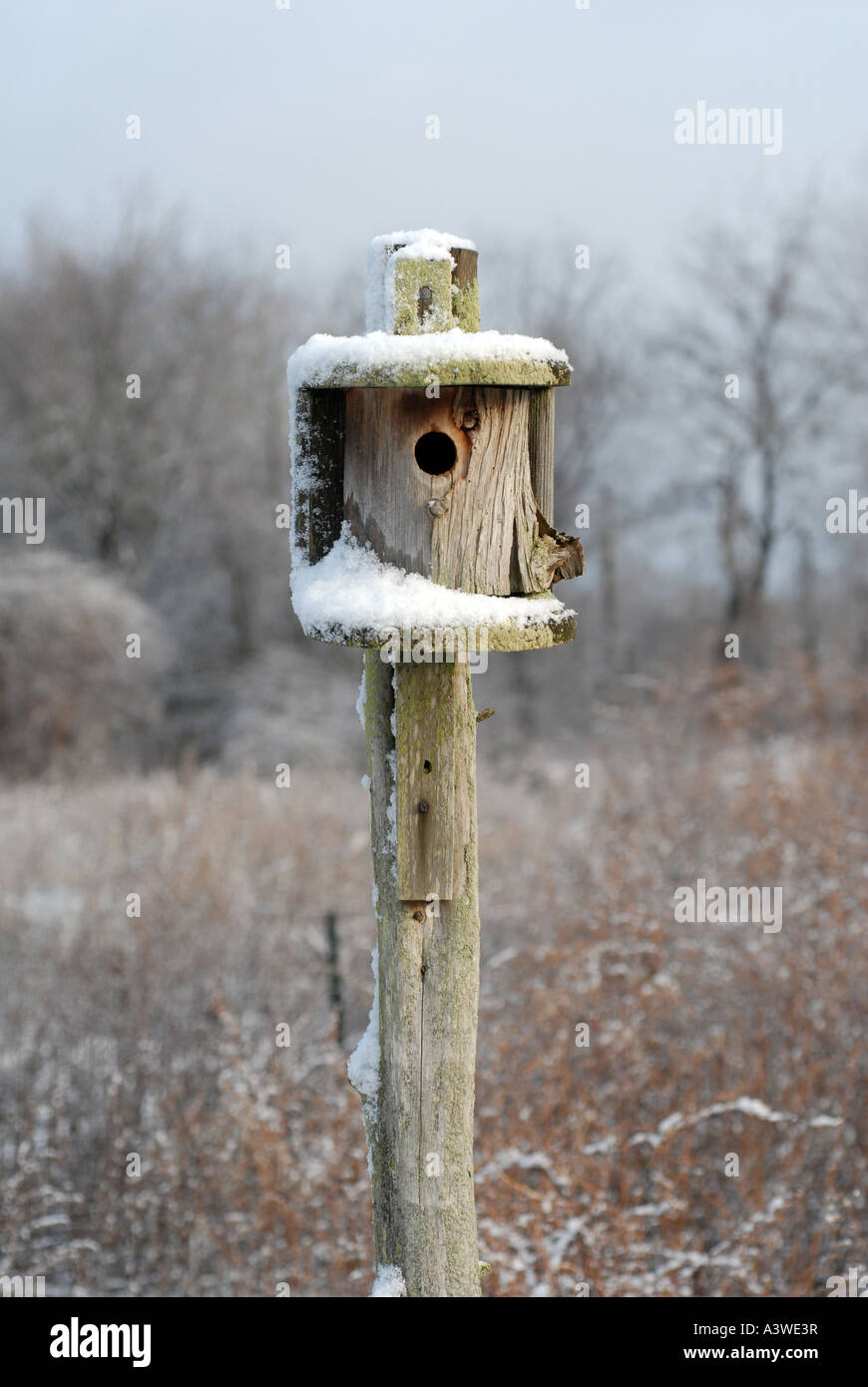 Vogelhaus mit Schnee in New England Farm bedeckt Stockfoto