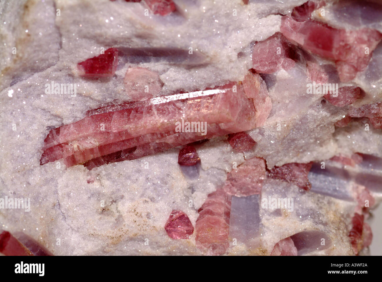 Mineralkristalle Elbait, Variante Rubellit rosa in einer Matrix Quarzit, Pala, Kalifornien, USA Stockfoto