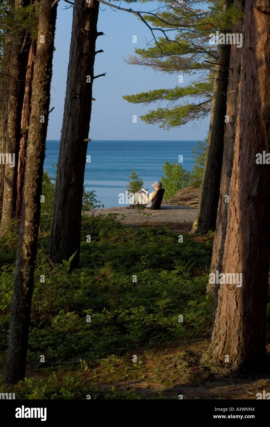 Eine Frau liest ein Buch unter einem Stand von Red Pinien am Strand der Kapelle in dargestellter Felsen-Staatsangehöriger Lakeshore nahe Munising Michigan Stockfoto