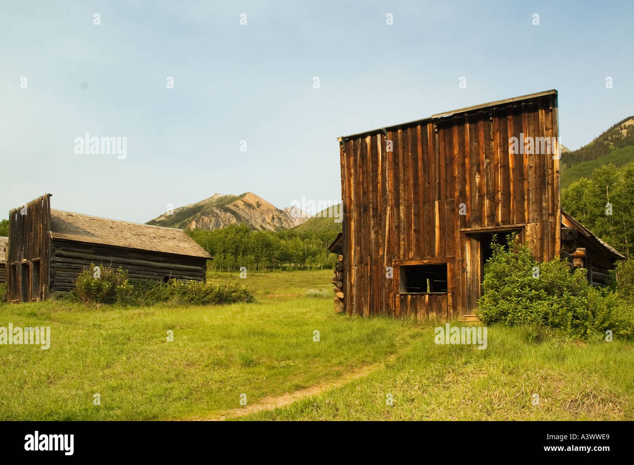 Colorado Ashcroft Geisterstadt 19C Silber Bergbaustadt Stockfoto