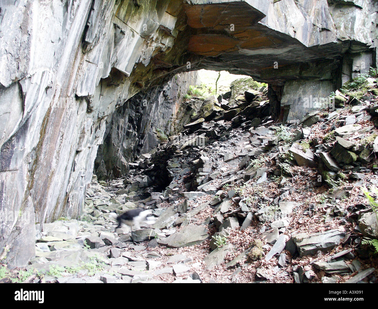 Bogen Sie aus Schiefer-Steinbruch in Borrowdale Seenplatte UK Stockfoto