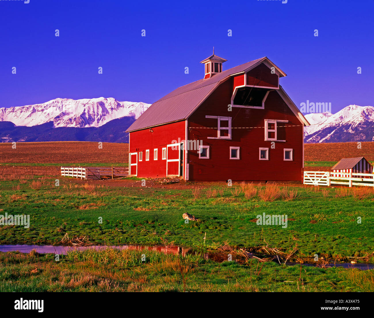 Scheune mit weißer Ordnung und Weide mit Wallowa Mountains Oregon Stockfoto