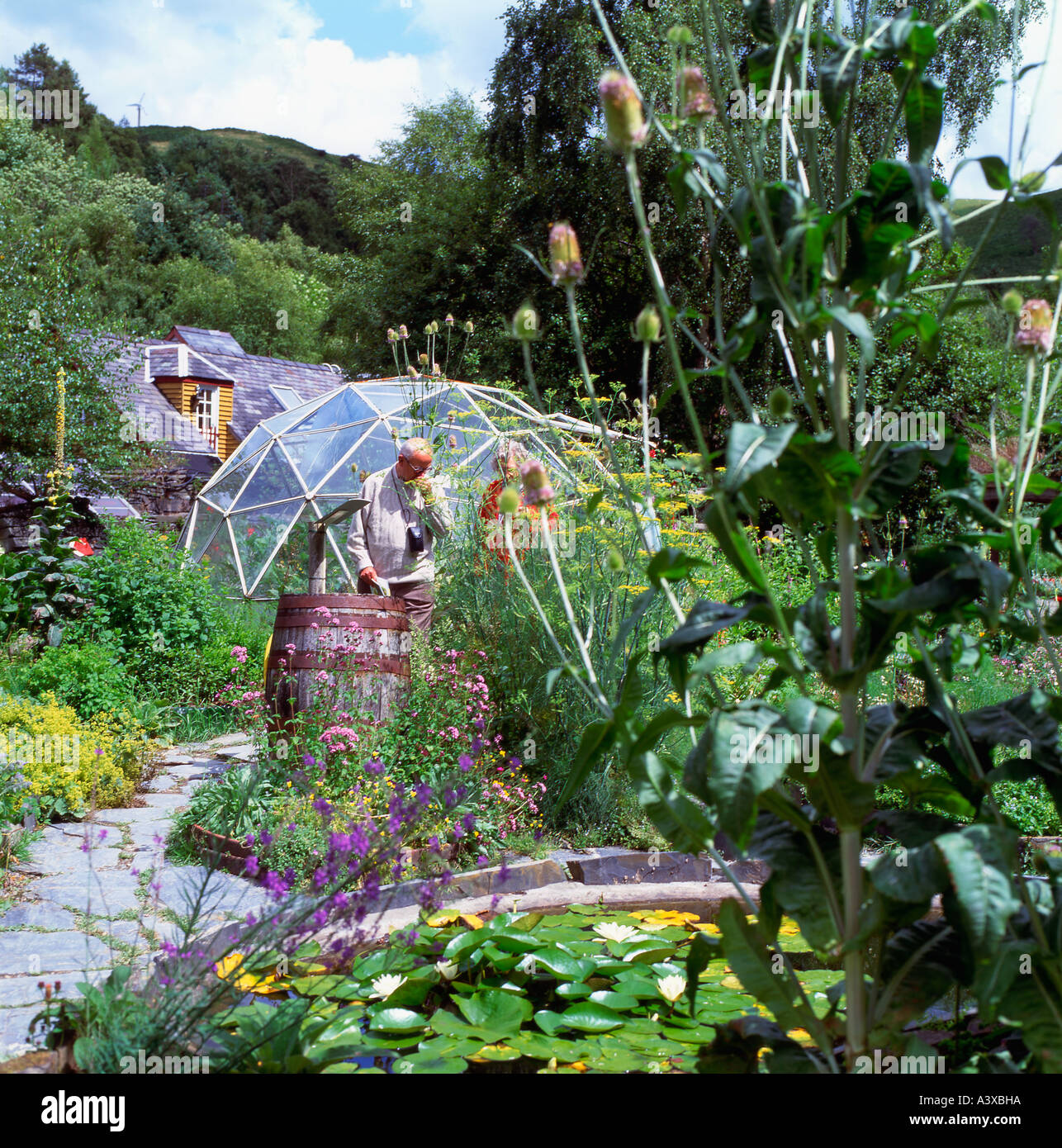 Besucher, die schnüffeln Pflanzen im Kräutergarten im Zentrum für Alternative Technologie Machynlleth Powys Wales UK KATHY DEWITT Stockfoto